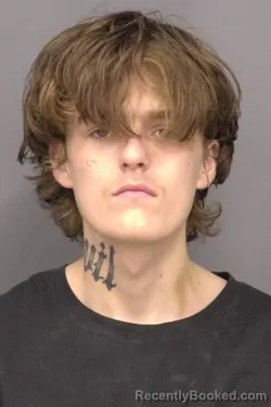 Mugshot of Elijah Christopher Hammon