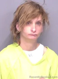 Mugshot of Sandra Lee Sekala