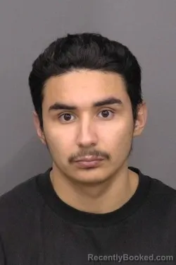 Mugshot of Guillermo Alejandro Ramirez-Valdiviezo
