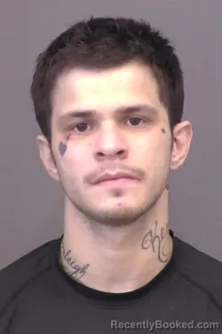 Mugshot of Tristian Pacey McDowell