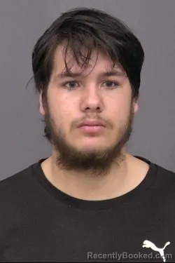 Mugshot of Tristan Gerald Chambers