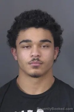 Mugshot of Tiger Jerome King