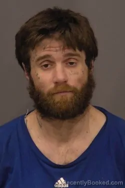 Mugshot of Dimitrios William Laskou