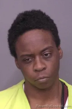 Mugshot of Laquiesha Keyanna Stevenson booked in Saline County, Kansas on March 25, 2026