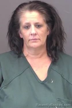 Mugshot of Heather Ann Whelchel booked in Saline County, Kansas on March 26, 2026