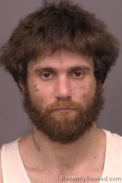 Mugshot of Dimitrios William Laskou booked in Saline County, Kansas on March 30, 2026