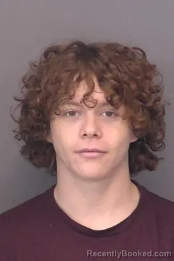 Mugshot of Ryen Jaren Tinkler booked in Saline County, Kansas on April 3, 2026