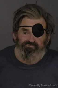 Mugshot of W L McCullom booked in Saline County, Kansas on April 4, 2026