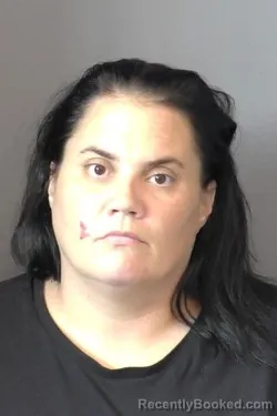 Mugshot of Tiffany Leann Krueger booked in Saline County, Kansas on July 8, 2026