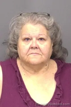 Mugshot of Cynthia Diane Amrine booked in Saline County, Kansas on September 1, 2026