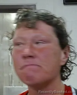 Mugshot of SHAWNA KAYE HIGGINS