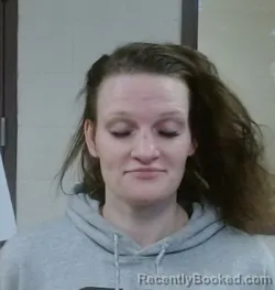 Mugshot of ALISHA DIANNE COLLINS booked in Sedgwick County, Kansas on March 18, 2026