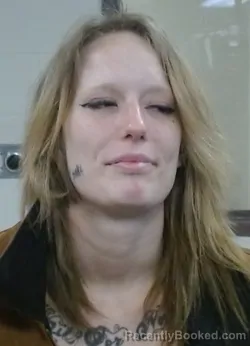 Mugshot of ELIZABETH JOY VANWILPE