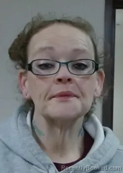 Mugshot of FAUN NICOLE ALVIS