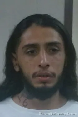 Mugshot of CHRISTIAN ARMANDO CONTRERAS-MUNOZ