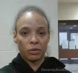 Mugshot of MIKAYLA CHANTELL DAY booked in Sedgwick County, Kansas on March 18, 2026