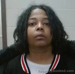 Mugshot of ALISHA MARIE GUIDER