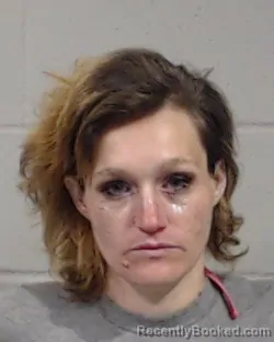 Mugshot of BREANA ROBBIN LYNN FISHER booked in Sedgwick County, Kansas on March 21, 2026