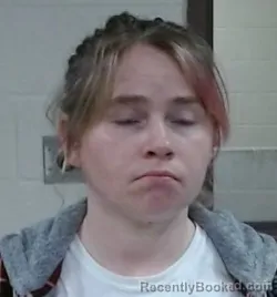 Mugshot of KRYSTAL LYNN WILSON