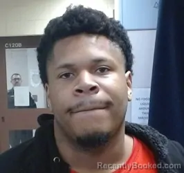 Mugshot of BRYSON JONNEL YOUNG-LANE