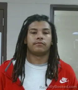 Mugshot of DAVID DANTE MCPHERSON