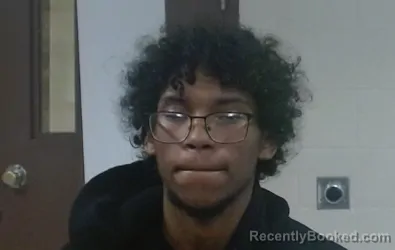 Mugshot of LARENZ MARTEA HARDING booked in Sedgwick County, Kansas on March 15, 2026