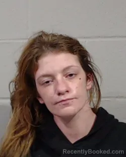 Mugshot of HANNAH NICOLE MITCHELL booked in Sedgwick County, Kansas on March 26, 2026