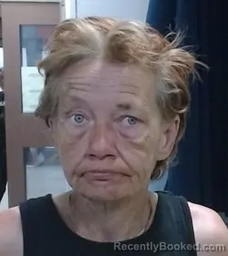 Mugshot of ANNA RUTH ROBINSON booked in Sedgwick County, Kansas on March 21, 2026