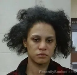 Mugshot of DANIELLE CLARISSA SAFT