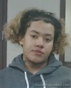 Mugshot of KELYANNA DIJNAE WINDOM booked in Sedgwick County, Kansas on March 17, 2026