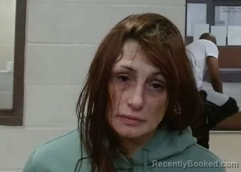 Mugshot of ARLEE ANNE QUINN booked in Sedgwick County, Kansas on March 22, 2026