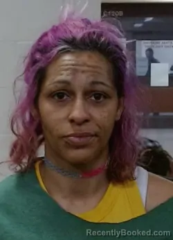 Mugshot of BRIANA LYNN DOOLEY