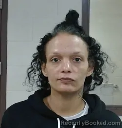 Mugshot of SHELLIE LYNN KIDD booked in Sedgwick County, Kansas on March 12, 2026