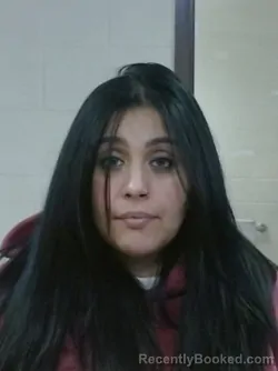 Mugshot of DENISSE MORENO