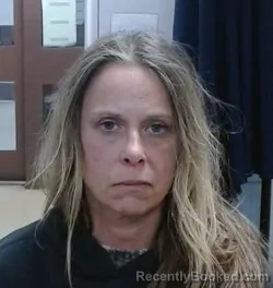 Mugshot of ELISEBETH REANN HENNESSEY