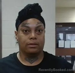 Mugshot of KRYSTAL DAWN ANDERSON