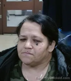 Mugshot of MEGAN MICHELLE SILL