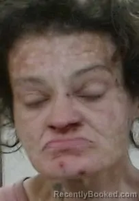 Mugshot of ERIKA R GOODRICH booked in Sedgwick County, Kansas on March 27, 2026