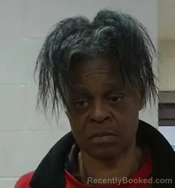 Mugshot of TAMEKA NICHOLE SAUNDERS