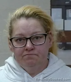 Mugshot of DANIELLE SHEREE TILCOCK booked in Sedgwick County, Kansas on March 17, 2026