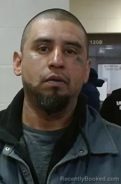 Mugshot of MIGUEL ANGEL CASTILLO