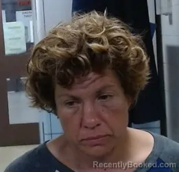 Mugshot of TIFFANY SUE WHEELER booked in Sedgwick County, Kansas on April 25, 2026