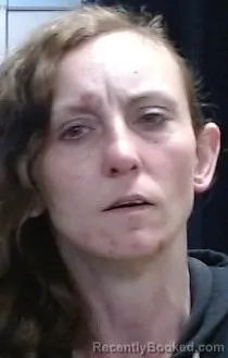 Mugshot of DAZARAY DAWN IVEY booked in Sedgwick County, Kansas on April 4, 2026