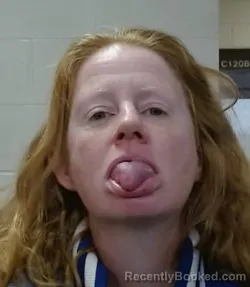 Mugshot of BILLIE BRIDGETTE BUSH booked in Sedgwick County, Kansas on March 23, 2026