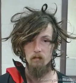 Mugshot of DJ T VENNEMANN