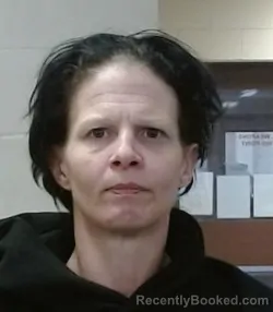 Mugshot of LINDZI BREANNE JOHNSON booked in Sedgwick County, Kansas on March 28, 2026