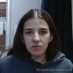 Mugshot of LILYAN RAQUEL ROBINSON booked in Sedgwick County, Kansas on March 26, 2026