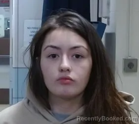 Mugshot of ARIANNA MARIE PLAIN