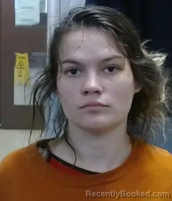 Mugshot of CHEYENNE RENEE GEER-SKYTTE booked in Sedgwick County, Kansas on March 23, 2026