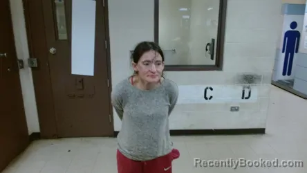 Mugshot of CHELSY RENEE NOVOTNY